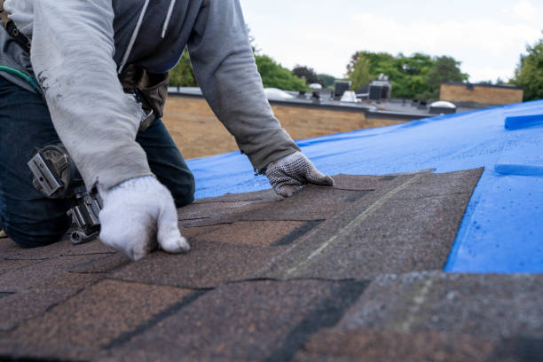 Best Storm Damage Roof Repair  in Colfax, CA